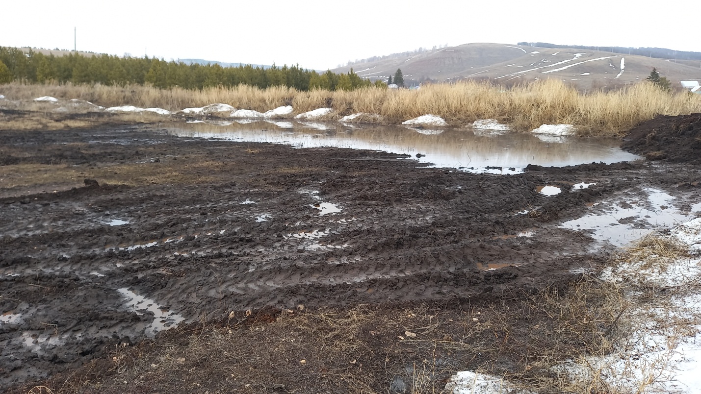 В Бугульминском районе Республики Татарстан произошел разлив нефтепродуктов